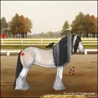 Horse Color:White Spotted Brown Roan Dun