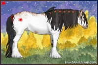Horse Color:White Spotted Bay Dun Frame 