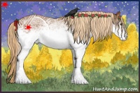 Horse Color:White Spotted Chestnut 