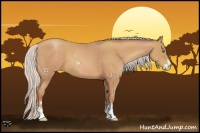 Horse Color:Silver Sable Champagne Sabino