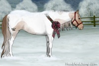 Horse Color:Black Pearl Tobiano Rabicano