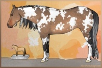Horse Color:White Spotted Brown Dun 