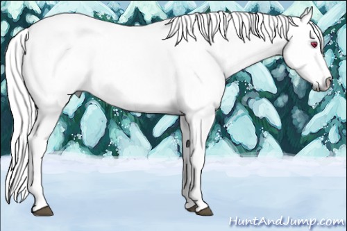 Horse Color:Liver Chestnut Chinchilla Sabino