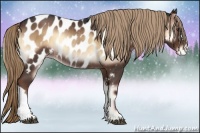 Horse Color:Liver Red Onyx Appaloosa Rabicano 