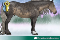 Horse Color:Silver Smoky Black 