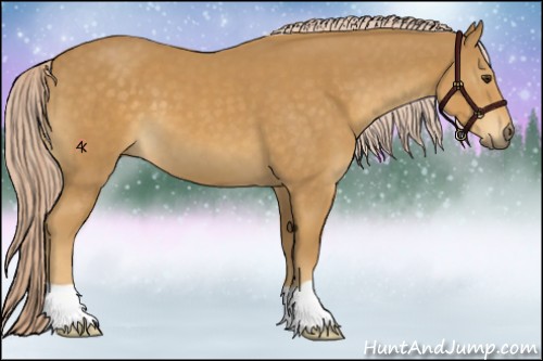 Horse Color:Palomino 