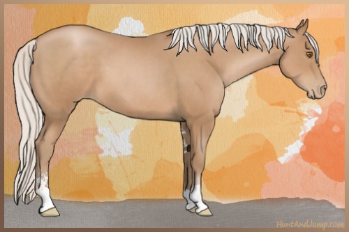 Horse Color:Silver Black Pearl Sabino 