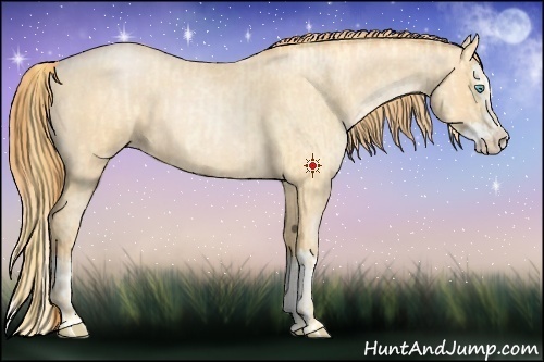 Horse Color:Buckskin Roan Pearl and Buckskin Roan Pearl Splash