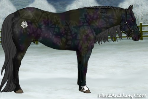 Horse Color:Midnight Black Ice 