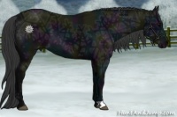 Horse Color:Midnight Black Ice 