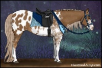 Horse Color:Chocolate Palomino Sabino Blanket 