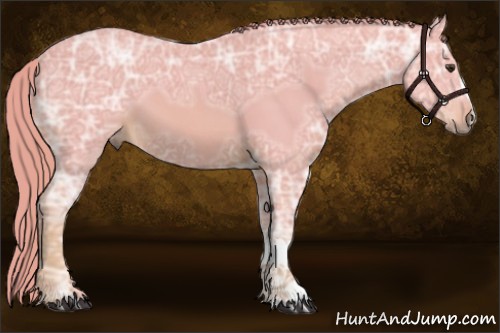 Horse Color:Watercolor Chestnut Ice 