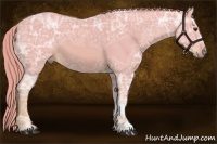 Horse Color:Watercolor Chestnut Ice 