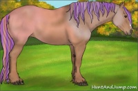 Horse Color:Painted Chestnut 