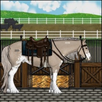 Horse Color:Silver Grullo Sabino