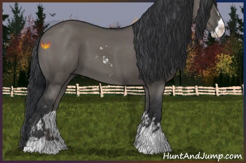 Horse Color:Grullo Sabino 