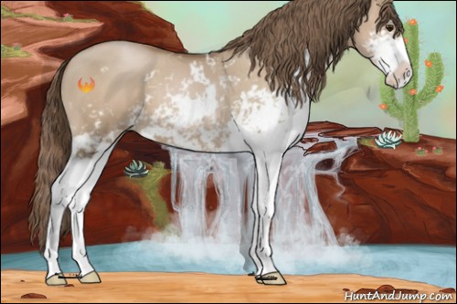 Horse Color:Grullo Pearl Sabino