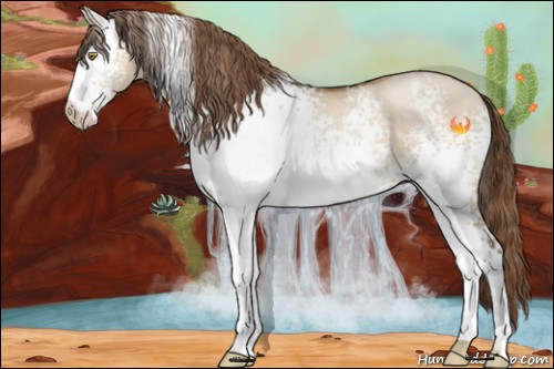 Horse Color:White Spotted Brown Pearl Dun