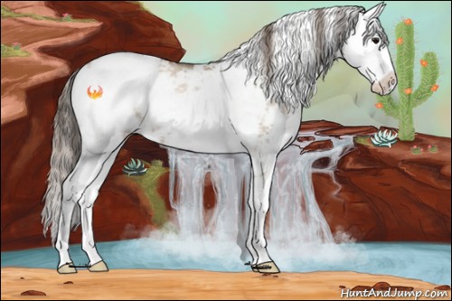 Horse Color:Grullo Pearl Sabino