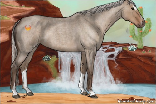 Horse Color:Silver Grullo Roan Sabino 