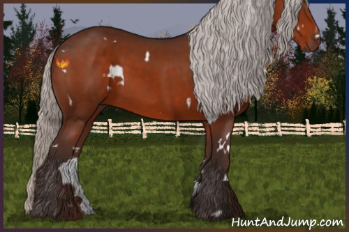 Horse Color:White Spotted Silver Brown Sabino
