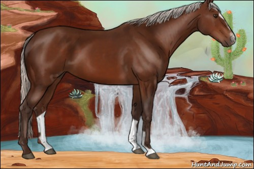 Horse Color:Silver Brown Sabino 