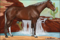 Horse Color:Silver Brown Sabino 