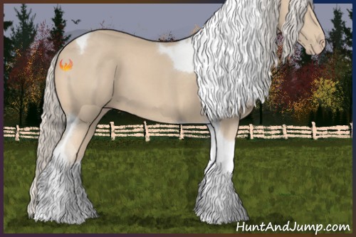 Horse Color:Cremello Tobiano 