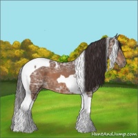Horse Color:Buckskin Ice Tobiano 