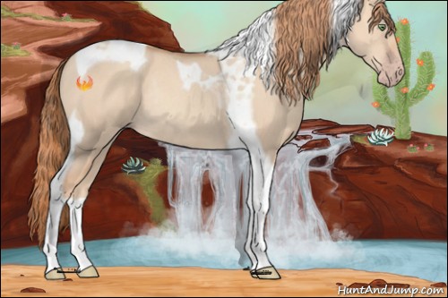 Horse Color:Gold Champagne Dun Tobiano Rabicano 