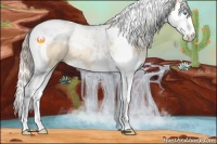 Horse Color:Palomino Pearl Dun Splash Tobiano