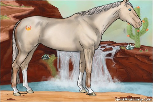 Horse Color:Silver Buckskin Roan Pearl Dun