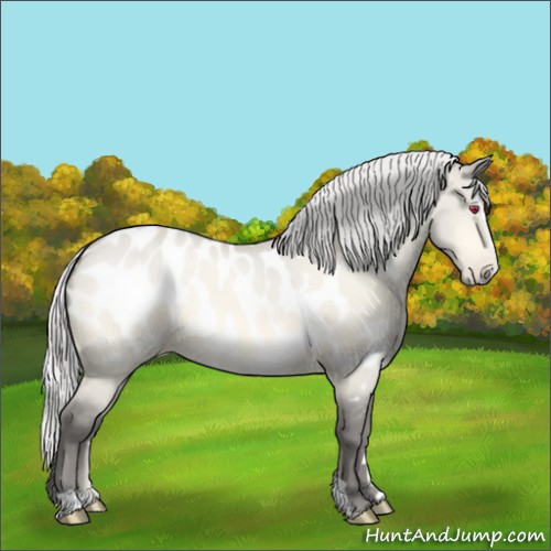 Horse Color:Silver Amber Cream Champagne Chinchilla Dun Sabino Appaloosa Rabicano 