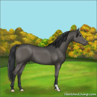 Horse Color:Grullo Mushroom Brindle 