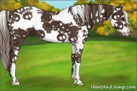 Horse Color:Liver Chestnut Sabino