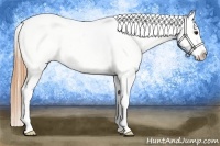 Horse Color:Buckskin Roan Blanket 