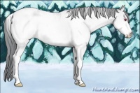 Horse Color:White Spotted Brown Chinchilla Pearl Tobiano Appaloosa 