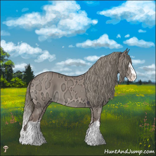 Horse Color:White Spotted Liver Red Dun Ice Mushroom Splash 