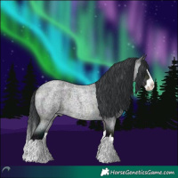 Horse Color:Midnight Brown Chinchilla Roan Splash 