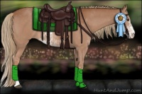 Horse Color:Chestnut Sabino