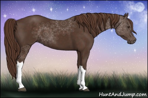 Horse Color:Liver Chestnut