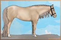 Horse Color:Chocolate Palomino Pearl 