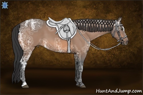 Horse Color:Buckskin Ice Sabino 