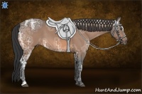 Horse Color:Buckskin Ice Sabino 