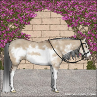 Horse Color:Bay Dun Sabino Splash Frame 