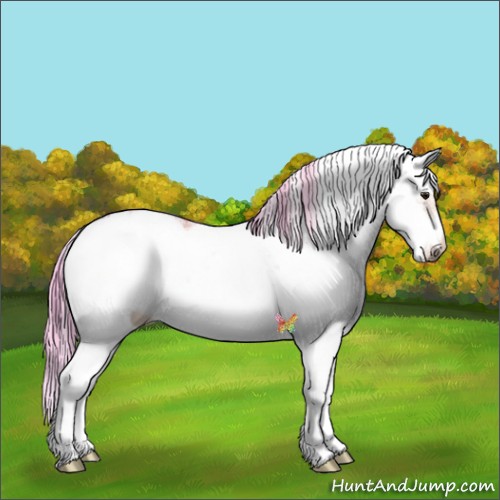 Horse Color:Watercolor Brown Sabino Frame 