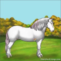 Horse Color:Watercolor Brown Sabino Frame