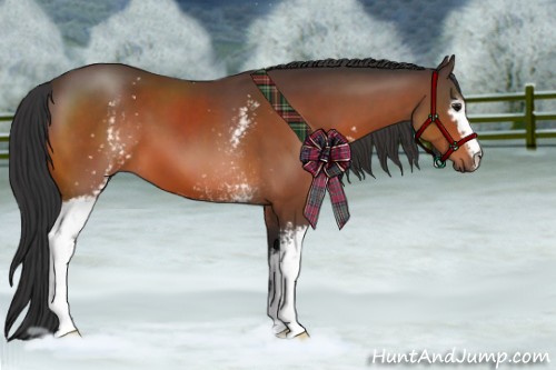 Horse Color:White Spotted Bay