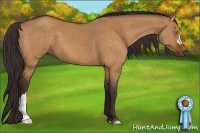 Horse Color:Buckskin Dun 