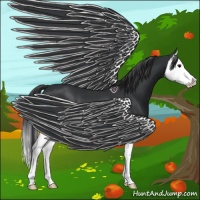 Horse Color:Black Splash